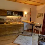 Serviced Licht Appart hôtel Kitzbühel