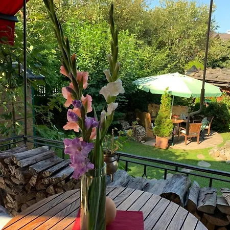 Serviced Licht Kitzbuhel